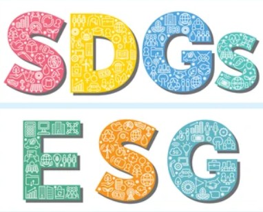Chương Trình Đào Tạo: ESG & SDGs – Đổi Mới Sáng Tạo và Phát Triển Bền Vững 