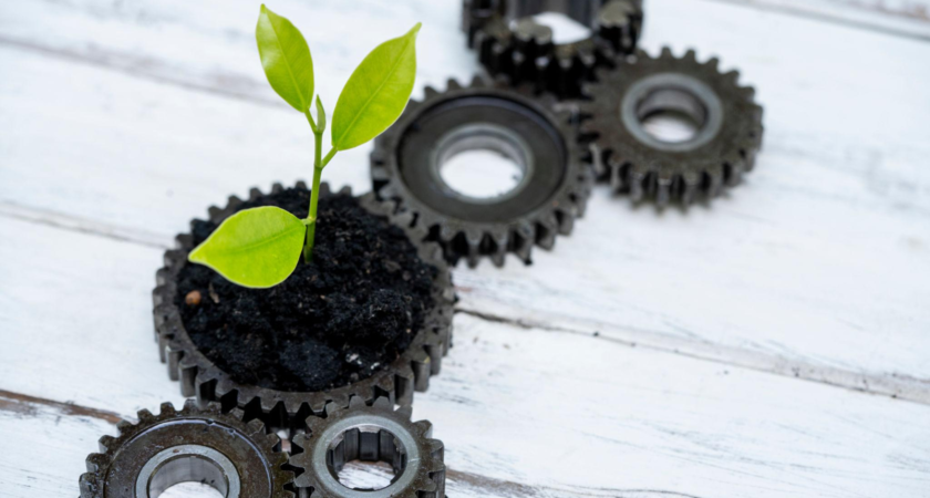 Môi Trường, Khí Hậu & Phát Triển Bền Vững: 27 Tiêu Chuẩn ESG Quốc Tế Doanh Nghiệp Cần Biết