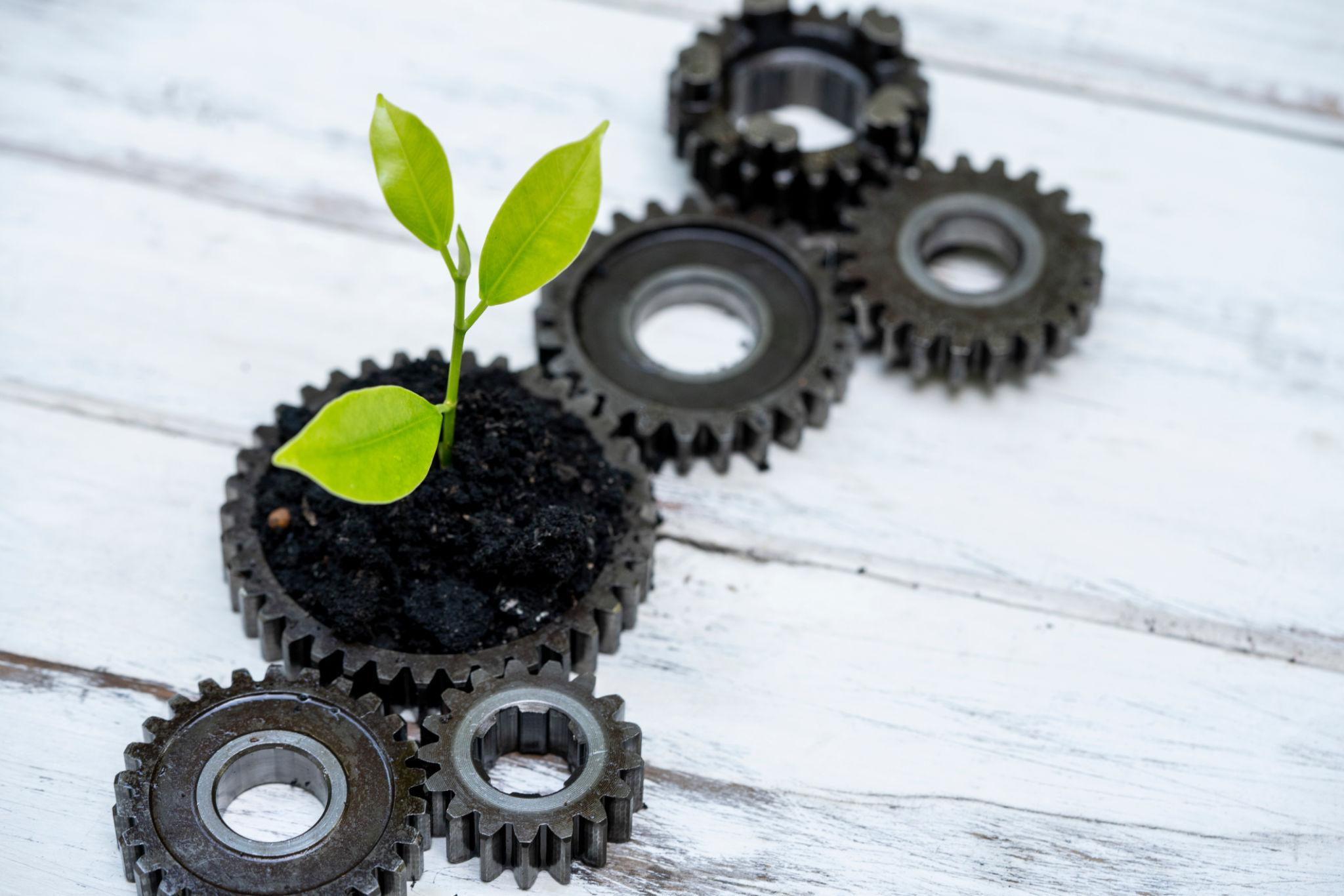 Môi Trường, Khí Hậu & Phát Triển Bền Vững: 27 Tiêu Chuẩn ESG Quốc Tế Doanh Nghiệp Cần Biết