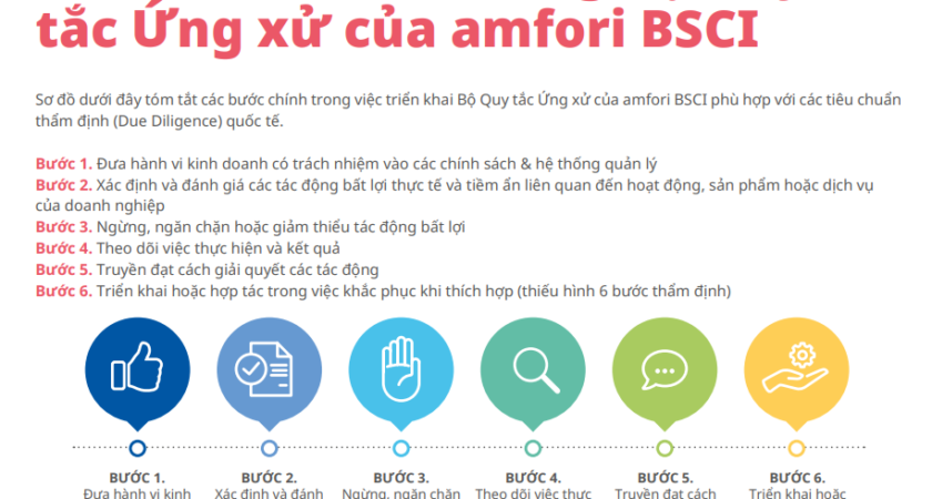 Đào tạo BSCI: Khóa học nhận thức amfori BSCI cho doanh nghiệp