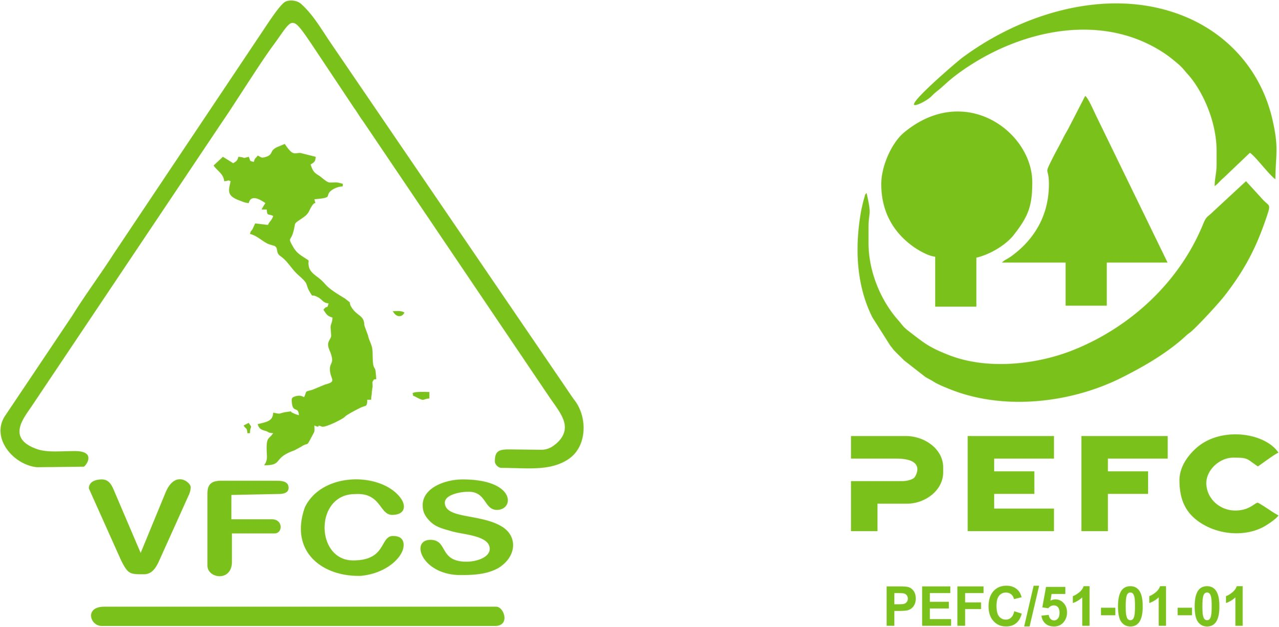 Đào tạo VFCS/PEFC: Khóa Nhận thức, Chuyên viên Chuỗi hành trình sản phẩm & Đánh giá viên nội bộ
