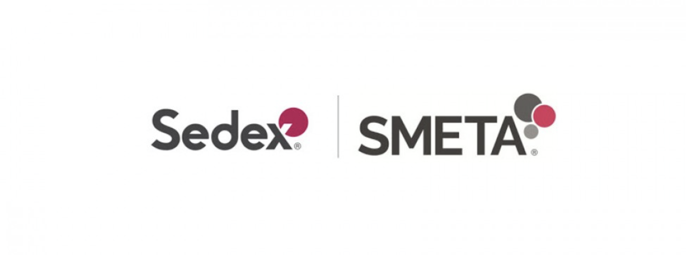 SMETA/SEDEX – Giải pháp Nâng cao Trách nhiệm Xã hội và Phát triển Chuỗi Cung Ứng Bền Vững