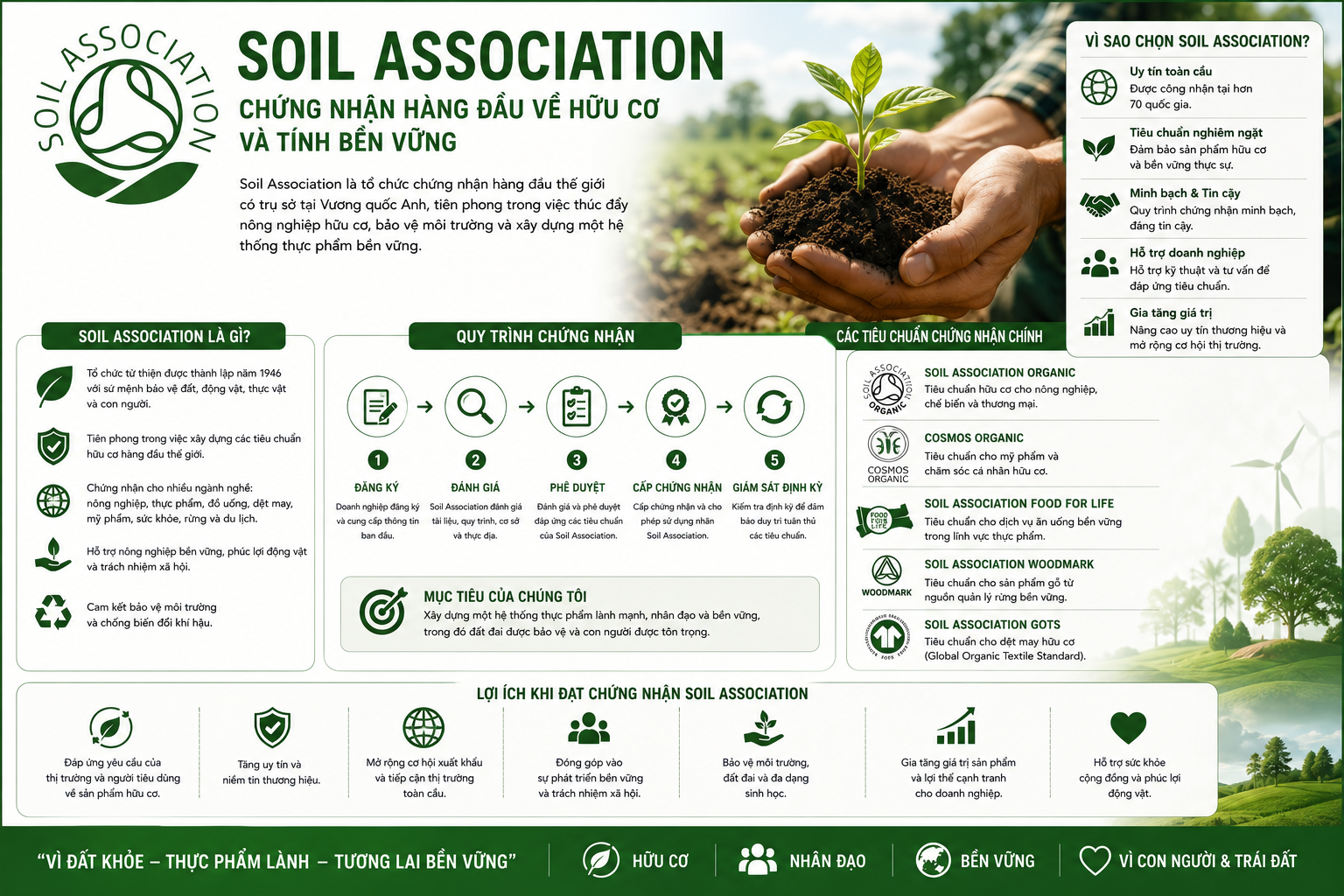 Tổng Luận Chiến Lược: Tiêu Chuẩn Soil Association – “Nhịp Cầu Sinh Thái”, Định Vị Tài Sản Hữu Cơ Và Chiến Lược Khai Phóng Chuỗi Giá Trị Nông Sản Cao Cấp
