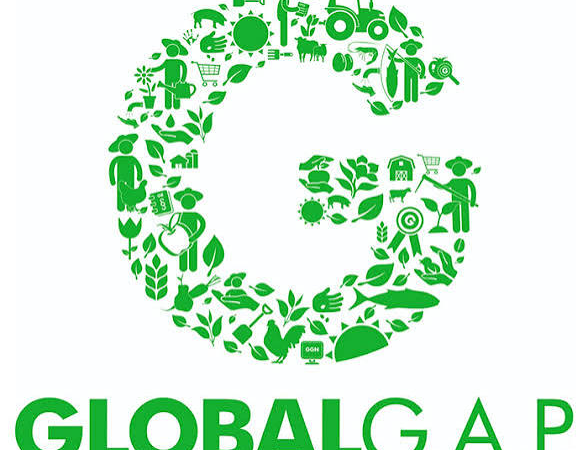 Bí Quyết Chinh Phục Tiêu Chuẩn GLOBALG.A.P. – Chìa Khóa Nâng Tầm Nông Sản Việt