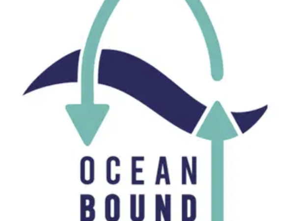 Dịch vụ Đào tạo, Tư vấn và Chứng nhận Ocean Bound Plastic (OBP) Chuyên nghiệp