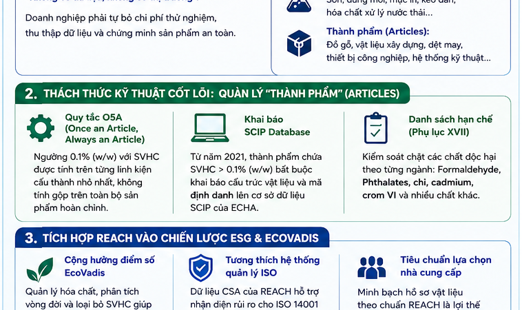 EU REACH TOÀN TẬP: GIẢI MÃ HÀNG RÀO KỸ THUẬT HÓA CHẤT VÀ CHIẾN LƯỢC TÍCH HỢP ESG CHO CHUỖI CUNG ỨNG