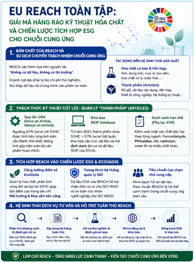 EU REACH TOÀN TẬP: GIẢI MÃ HÀNG RÀO KỸ THUẬT HÓA CHẤT VÀ CHIẾN LƯỢC TÍCH HỢP ESG CHO CHUỖI CUNG ỨNG
