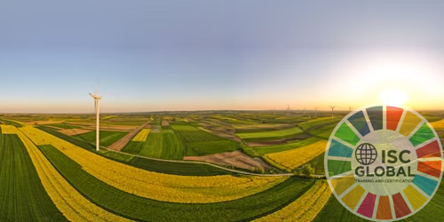 Dịch vụ Đào tạo Tư vấn Net Zero / Carbon Neutrality Consulting – Giải pháp chuyển đổi doanh nghiệp hướng tới phát thải ròng bằng 0
