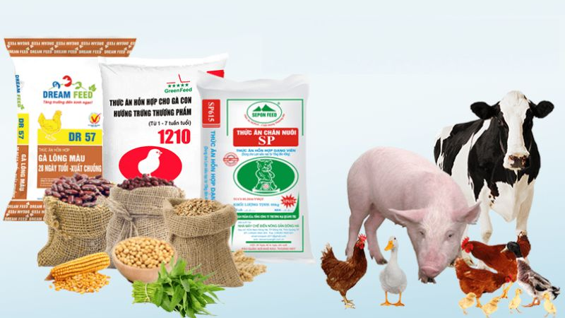 Dịch vụ đào tạo, tư vấn và chứng nhận Tiêu chuẩn Kiểm tra Thực phẩm & Thức ăn chăn nuôi