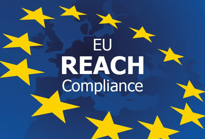 EU REACH Registration: Dịch vụ đào tạo, tư vấn đăng ký REACH chuyên sâu cho doanh nghiệp xuất khẩu vào thị trường châu Âu
