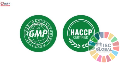 GMP/HACCP Cơ Bản: Dịch Vụ Đào Tạo, Tư Vấn Và Chứng Nhận GMP/HACCP Chuyên Nghiệp