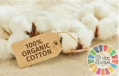 Dịch vụ đào tạo tư vấn chứng nhận Organic and Ecological Textiles cho doanh nghiệp dệt may bền vững