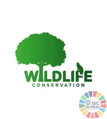 Sustainable Wild Collection: Giải pháp khai thác nguyên liệu tự nhiên bền vững và nâng cao giá trị chuỗi cung ứng