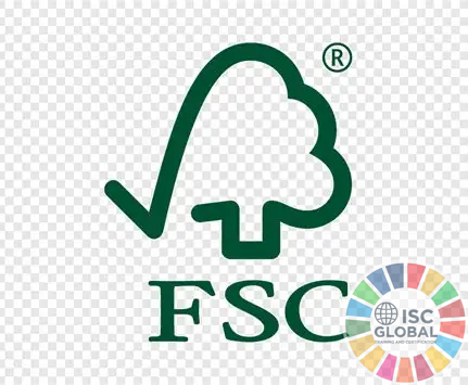 Phân tích chuyên sâu về FSC: Giải pháp chứng nhận quản lý rừng bền vững và truy xuất nguồn gốc sản phẩm gỗ