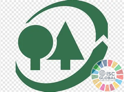 Tư vấn chứng nhận Responsible Forest Management: Nâng cao giá trị rừng và năng lực quản lý bền vững