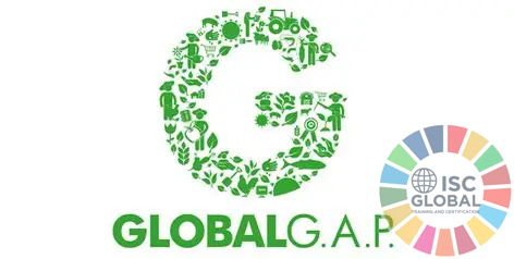Tư vấn đào tạo chứng nhận GLOBALG.A.P. IFA cho doanh nghiệp và trang trại